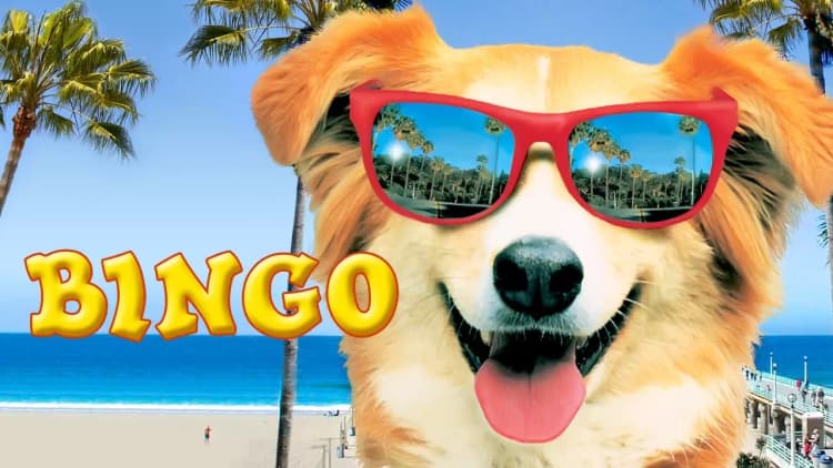 Bingo Poster
