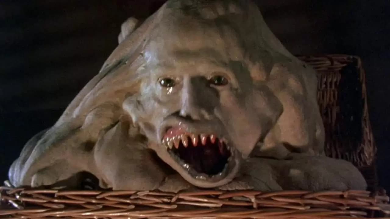 Basket Case Backdrop