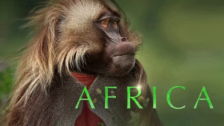 Africa Poster