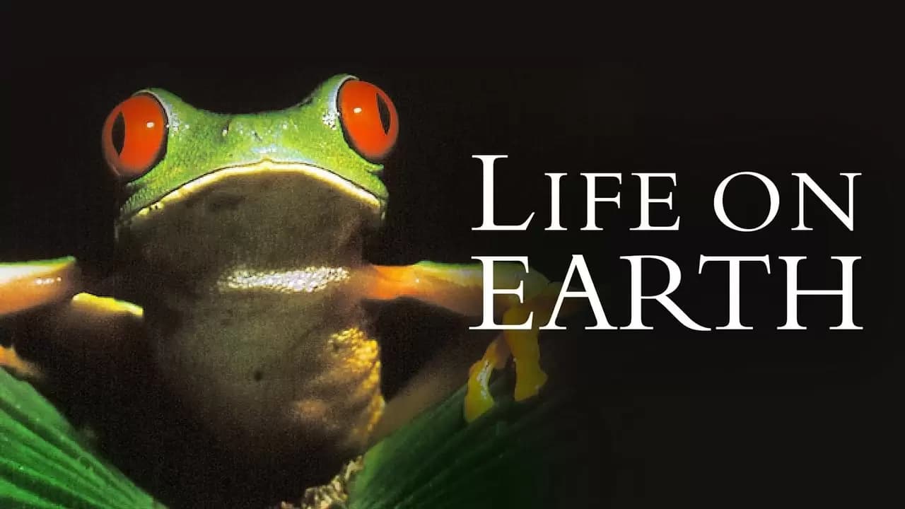 Life on Earth Backdrop