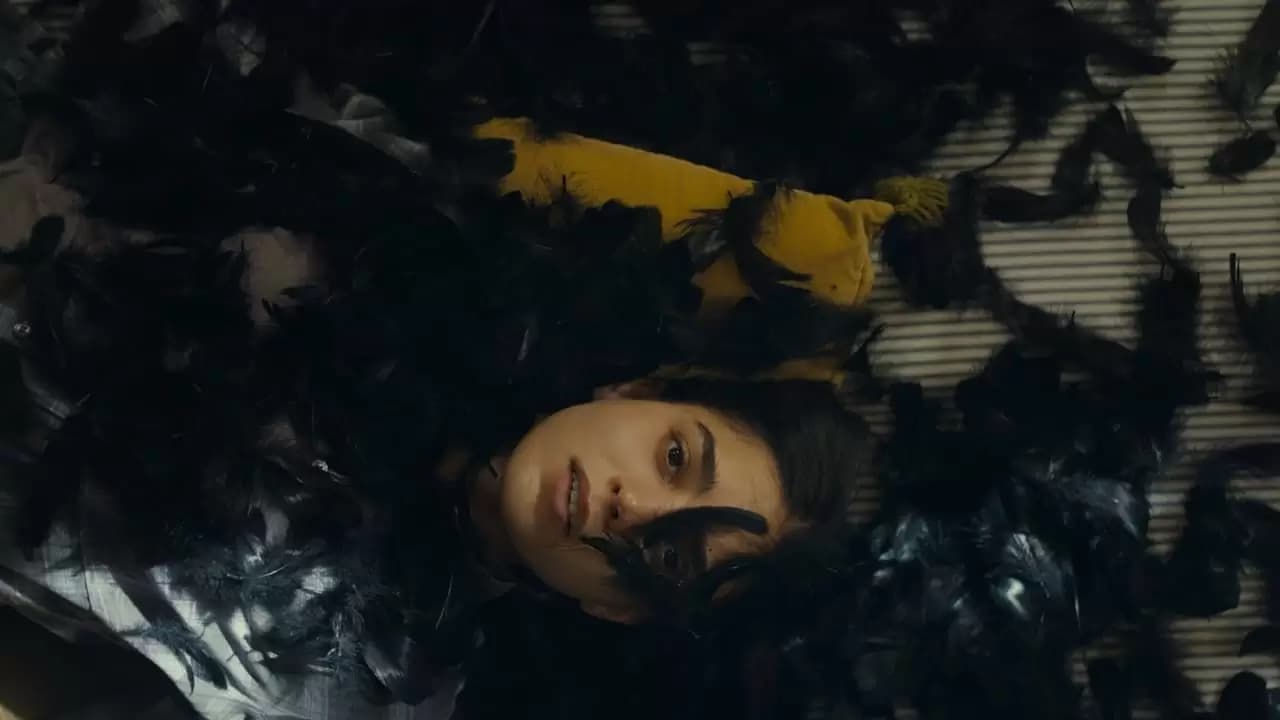 All the World Is Sleeping Backdrop