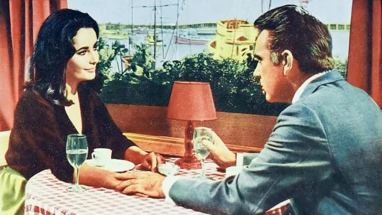 The Sandpiper Poster