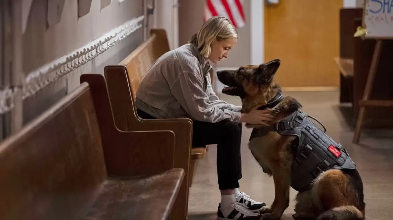 Jazz Ramsey: A K-9 Mystery Backdrop