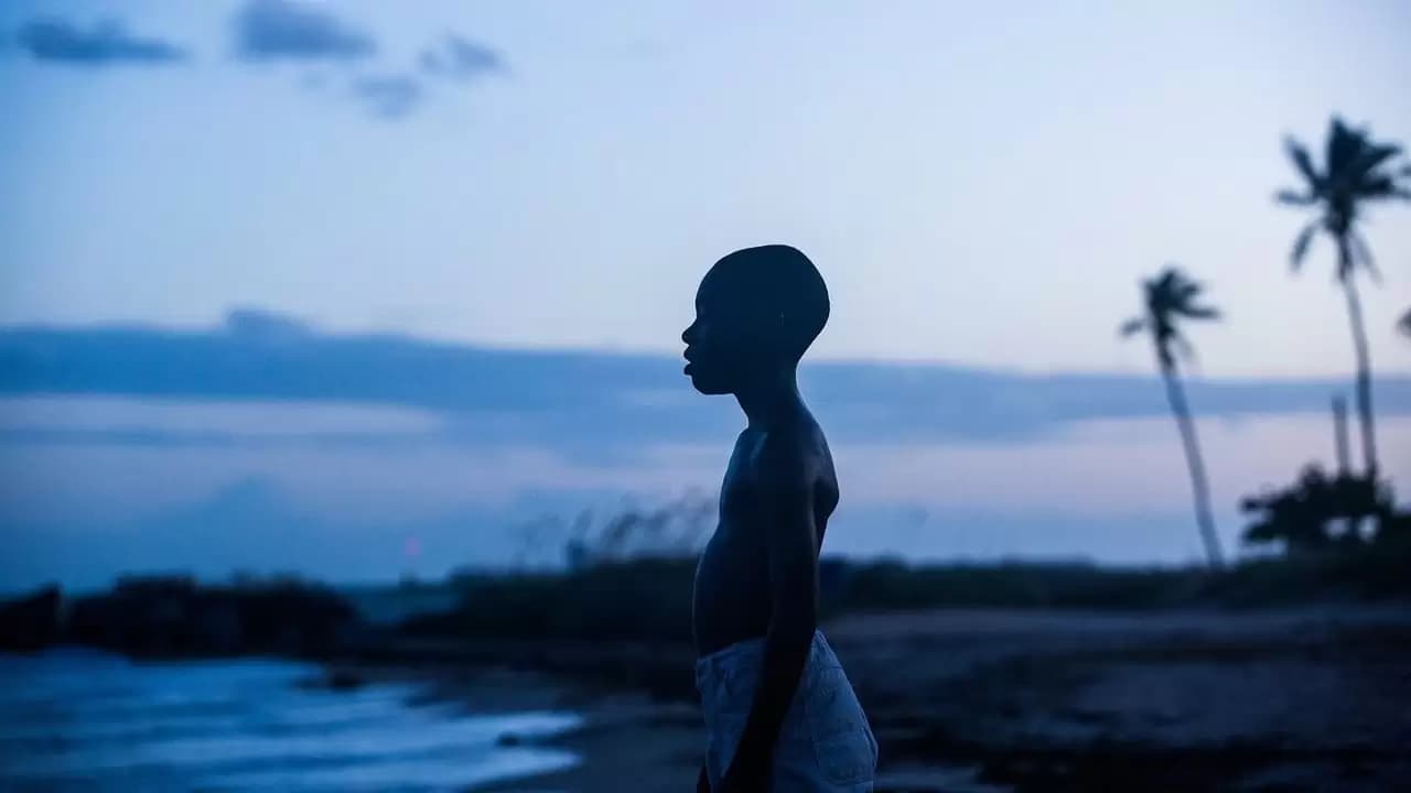 Moonlight Backdrop