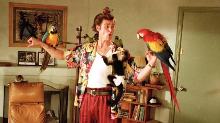 Ace Ventura: Pet Detective Poster