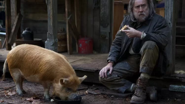 Pig Poster