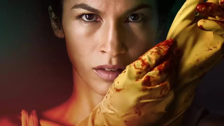 The Cleaning Lady Poster