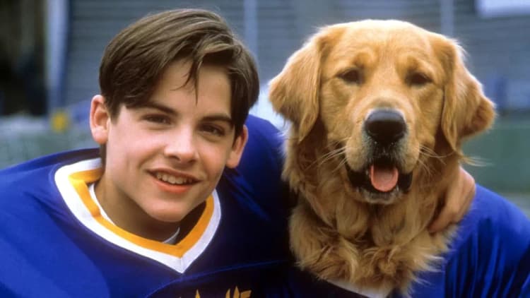 Air Bud: Golden Receiver Poster