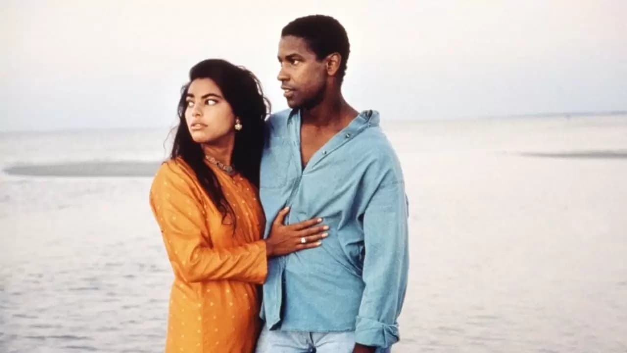 Mississippi Masala Backdrop
