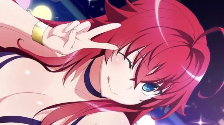High School DxD Poster