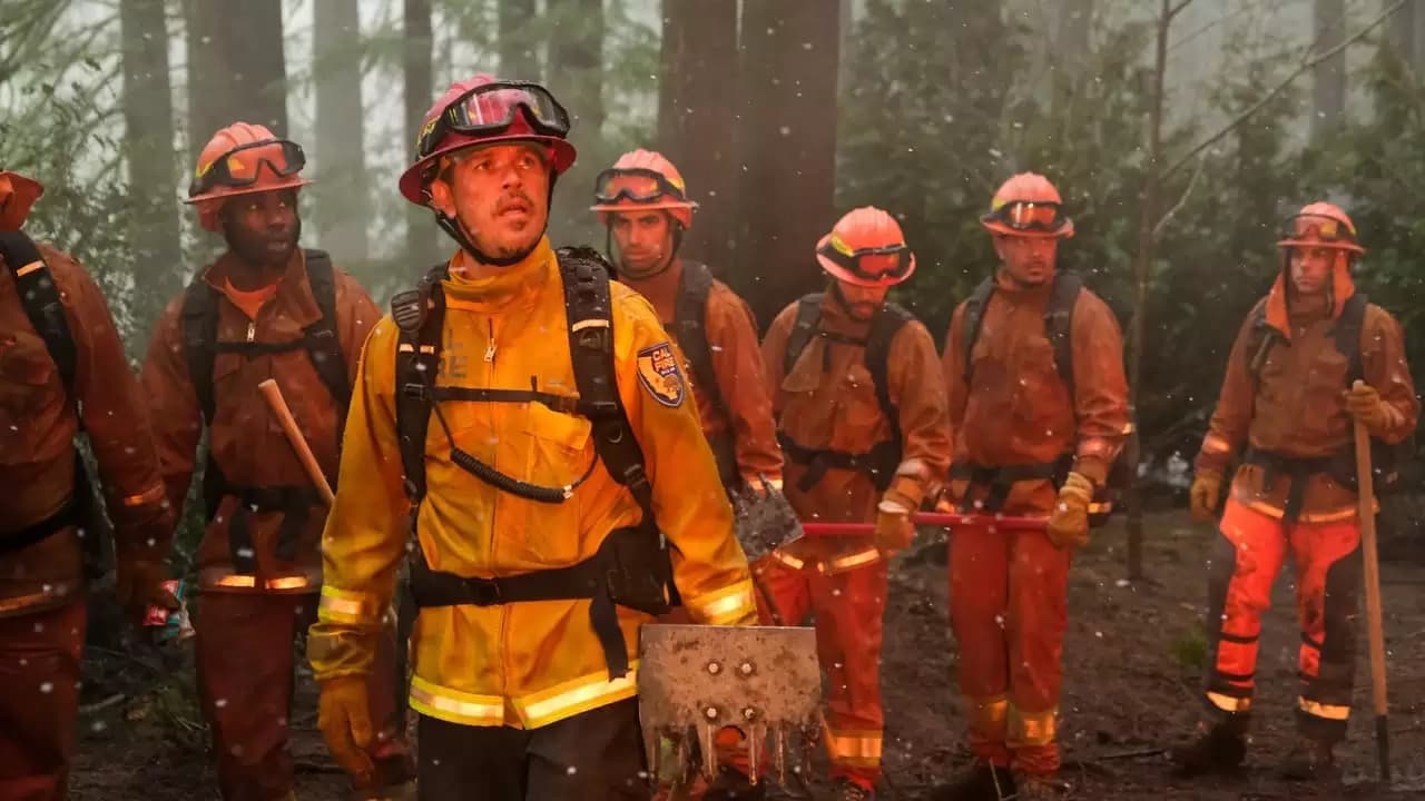 Fire Country Backdrop