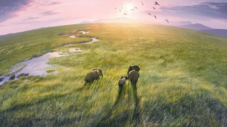 Planet Earth III Poster