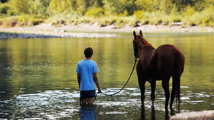 Lean on Pete Poster