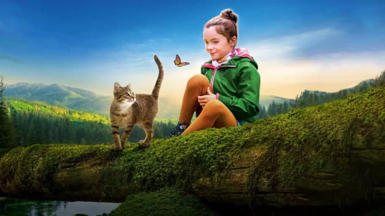 A Cats Life Poster