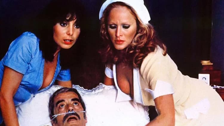 The Sensuous Nurse Poster