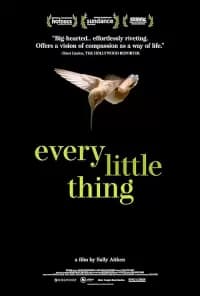 Every Little Thing