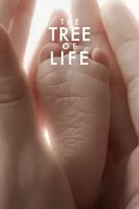 The Tree of Life