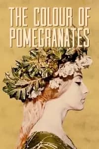 The Color of Pomegranates