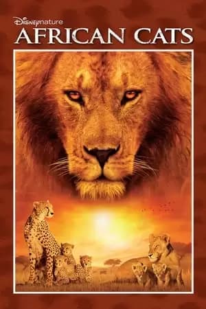 African Cats Poster