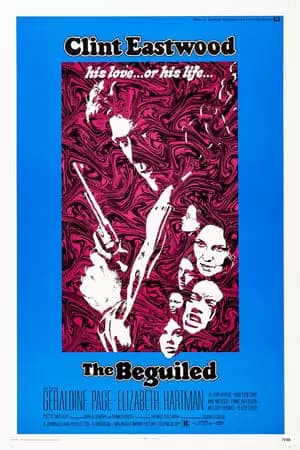 The Beguiled Poster