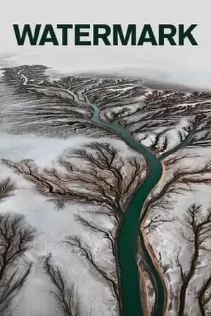 Watermark Poster