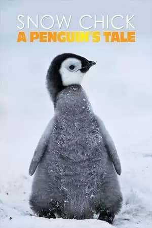 Snow Chick: A Penguin's Tale Poster