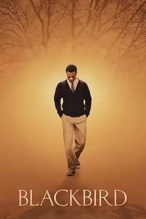 Blackbird Poster