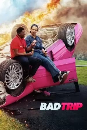 Bad Trip Poster