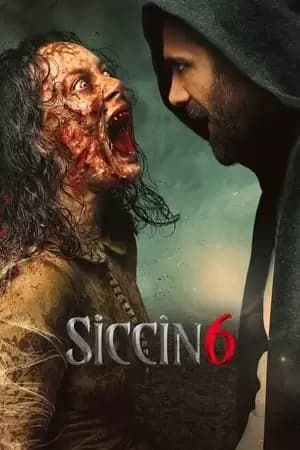 Siccin 6 Poster