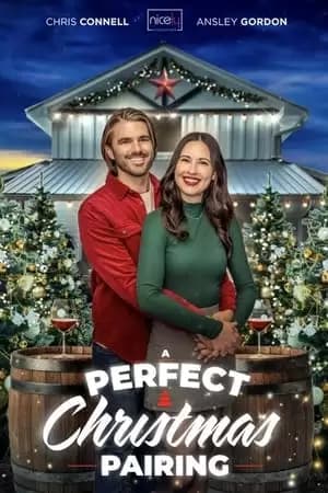 A Perfect Christmas Pairing Poster
