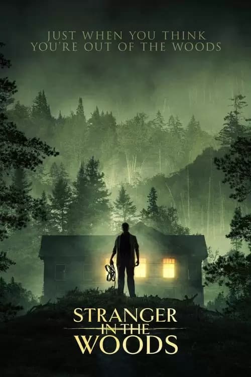 Stranger in the Woods Poster