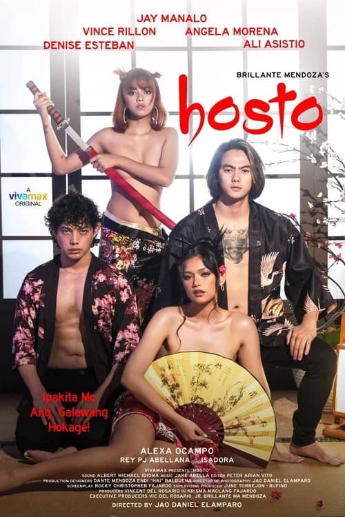 Hosto Poster