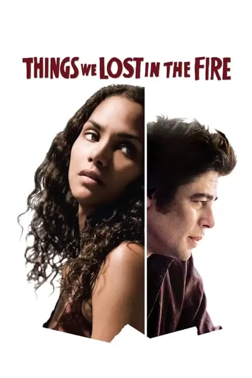 Things We Lost in the Fire Poster