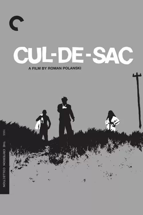 Cul-de-sac Poster