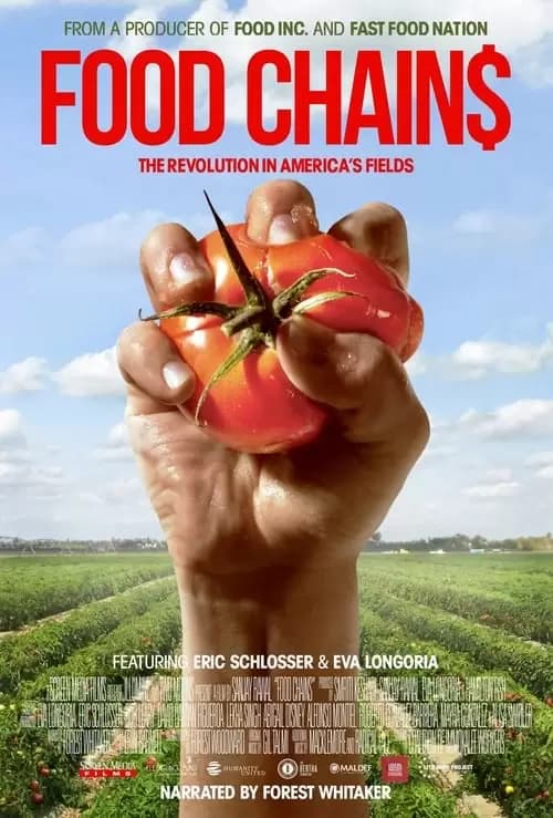 Food Chains Poster