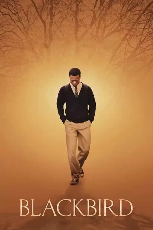 Blackbird Poster