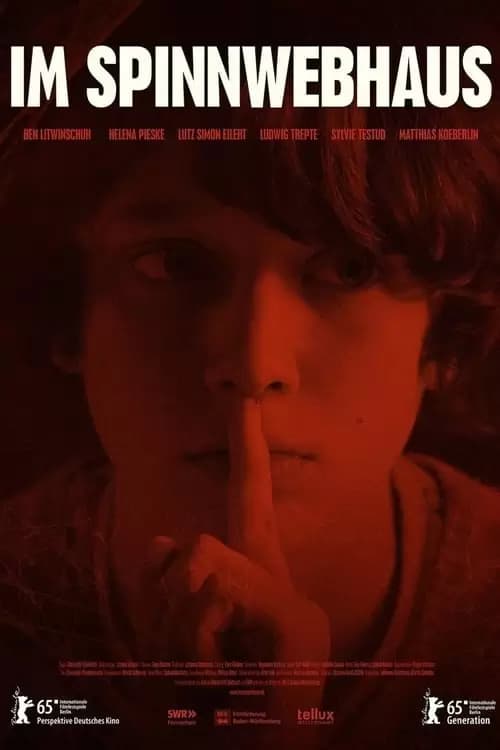 The Spiderwebhouse Poster