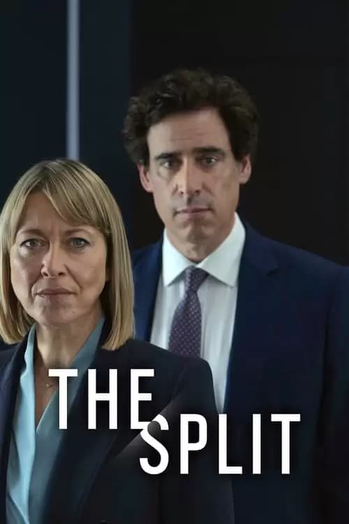 The Split Poster