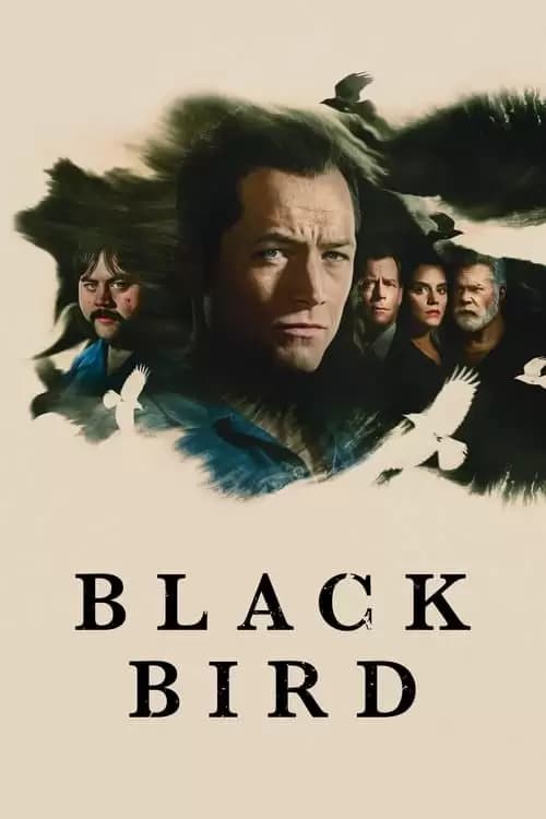Black Bird Poster