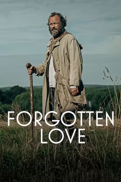 Forgotten Love Poster