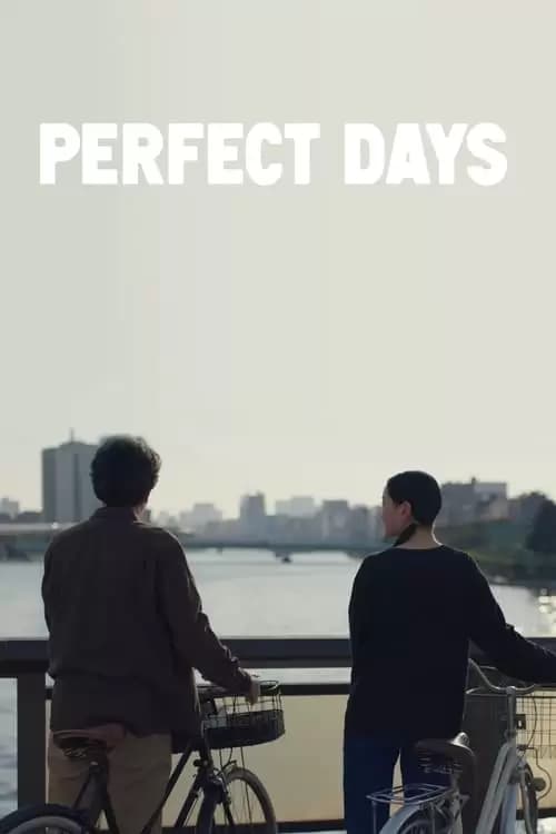 Perfect Days Poster